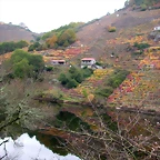 DSCN0195