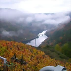 DSCN0318