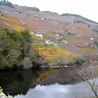 DSCN0180