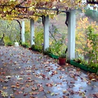 DSCN0300