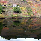 DSCN0199