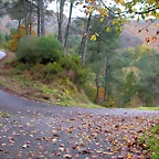 DSCN0244