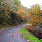 DSCN0248