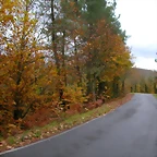 DSCN0259