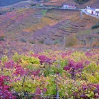DSCN0273