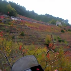 DSCN0304