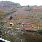 DSCN0205