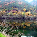 DSCN0230