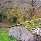 DSCN0269