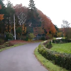 DSCN0104