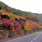 DSCN0187