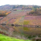 DSCN0221