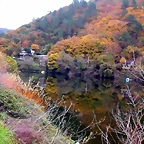DSCN0234