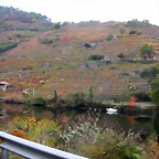 DSCN0203
