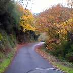DSCN0247
