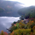 DSCN0310