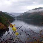 DSCN0301