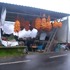 DSCN0319