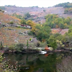 DSCN0206