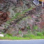 DSCN0237