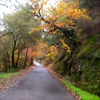 DSCN0263