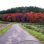 DSCN0102