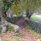 DSCN0112