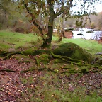 DSCN0118