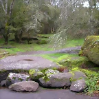 DSCN0124