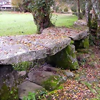 DSCN0117