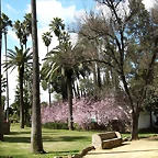Badajoz (185)