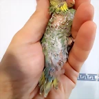 20190704_145228