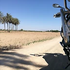 IMG_20210627_114928