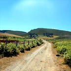 DSCN4593