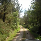 DSCN5315