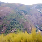 DSCN9900