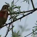 Pareja parque de Ocio (4)