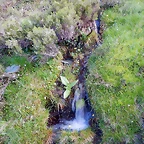 DSCN9497