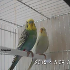 CIMG0884