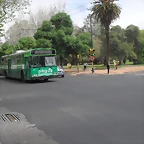 SDC11173