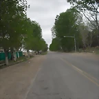 SDC11139