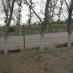 SDC11141