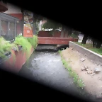 SDC11175