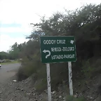 SDC11238