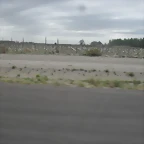 SDC11155