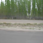 SDC11151