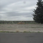 SDC11152