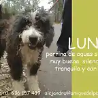 LUNA Asturias