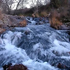 DSCN6701