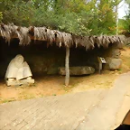DSCN6887